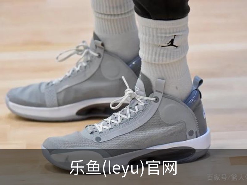 乐鱼(leyu)官网介绍
