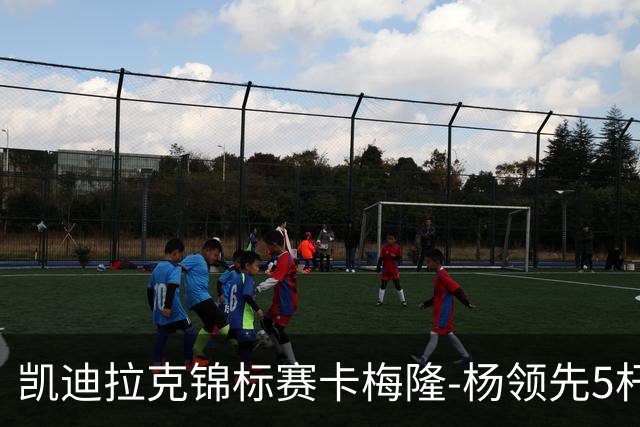 凯迪拉克锦标赛卡梅隆-杨领先5杆 斯皮思T2舍夫勒T6